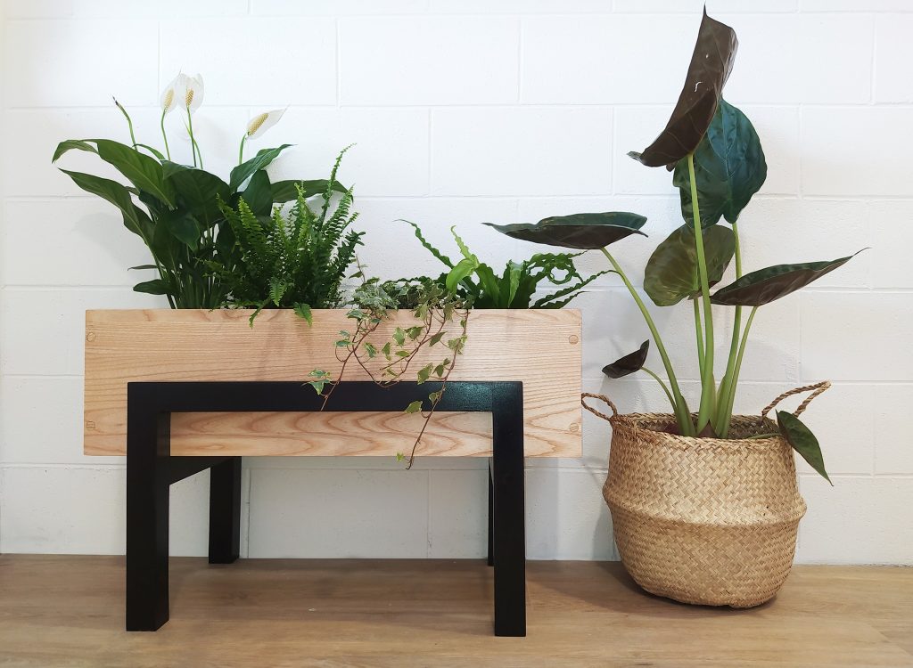Plantes d’intérieures – Thé GreenHouse Coworking Plantes d'intérieures - Thé GreenHouse Coworking